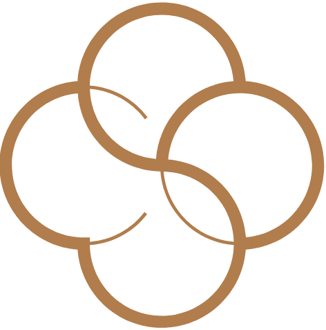 Kadın Orkestra Sanatçılarının Kıyafetlerine 'Ahlaki Müdahale' Kabul Edilemez